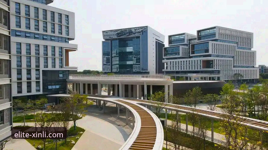 新利娱乐体验 18新利体育平台娱乐体验深度解析